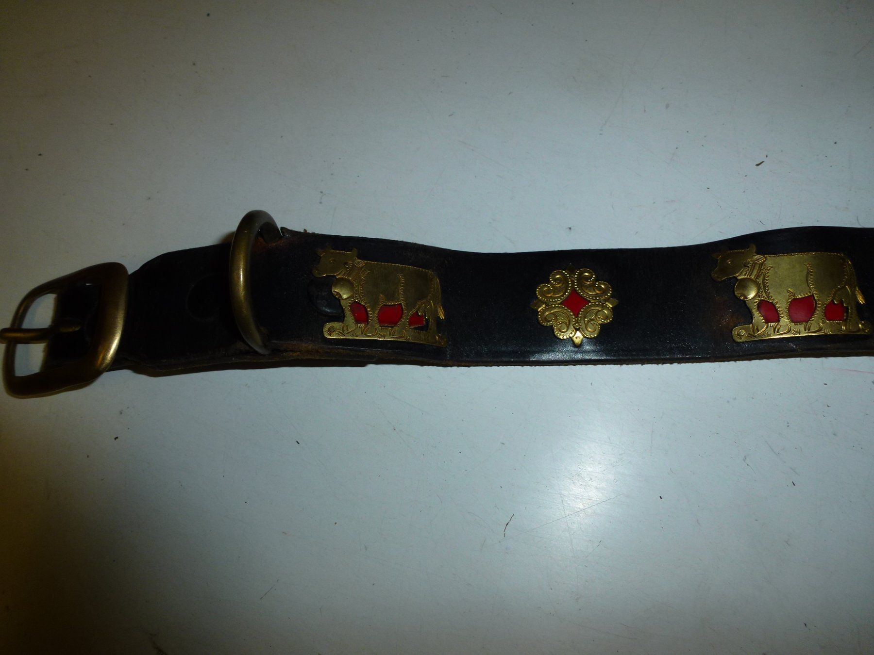 Campanacci mucche: Hundehalsband – Usato da Bürglen UR venduto da daisyxy5 1
