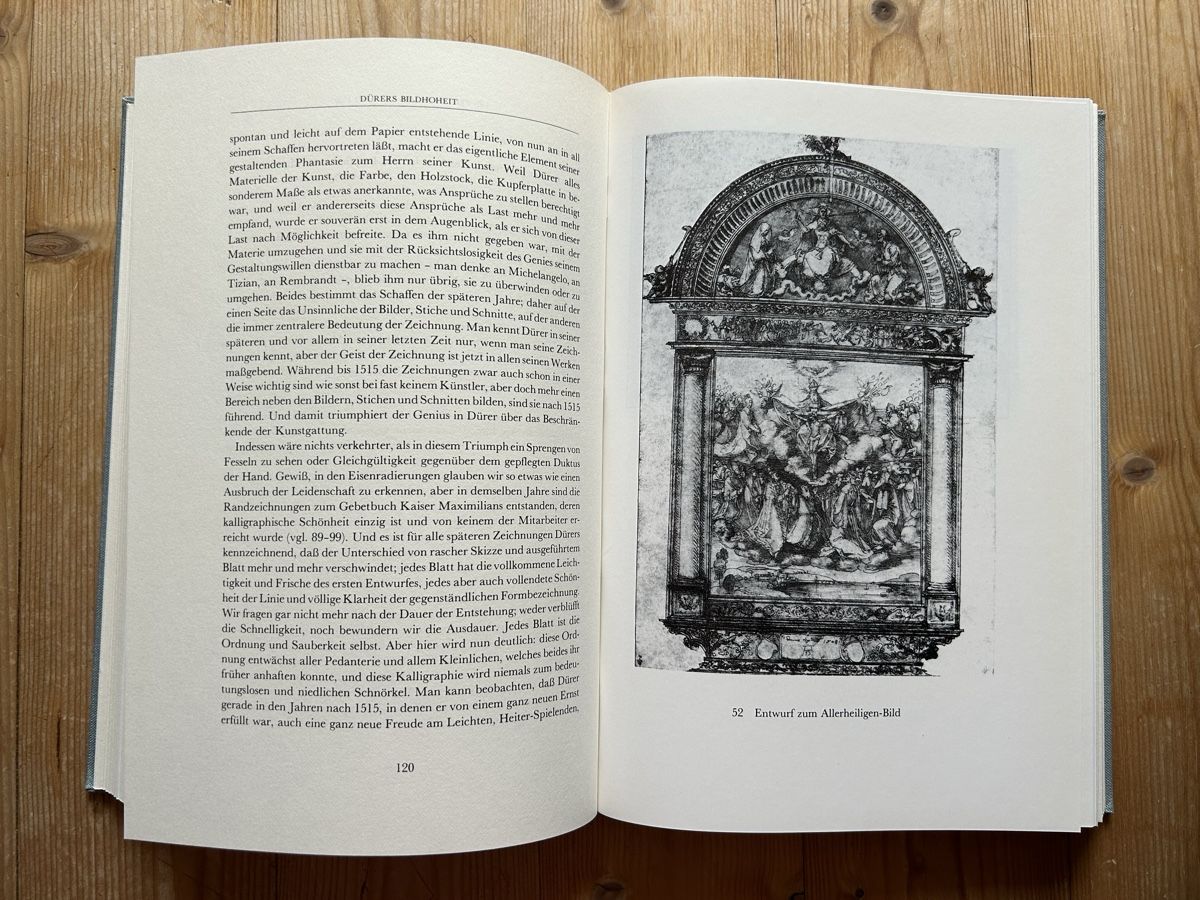 Libri: Theodor Hetzer - Die Bildkunst Dürers – Usato da Himmelried venduto da rasmus67 7