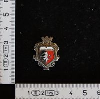 PIN Wappen Valee D’Aoste Aostatal #1112