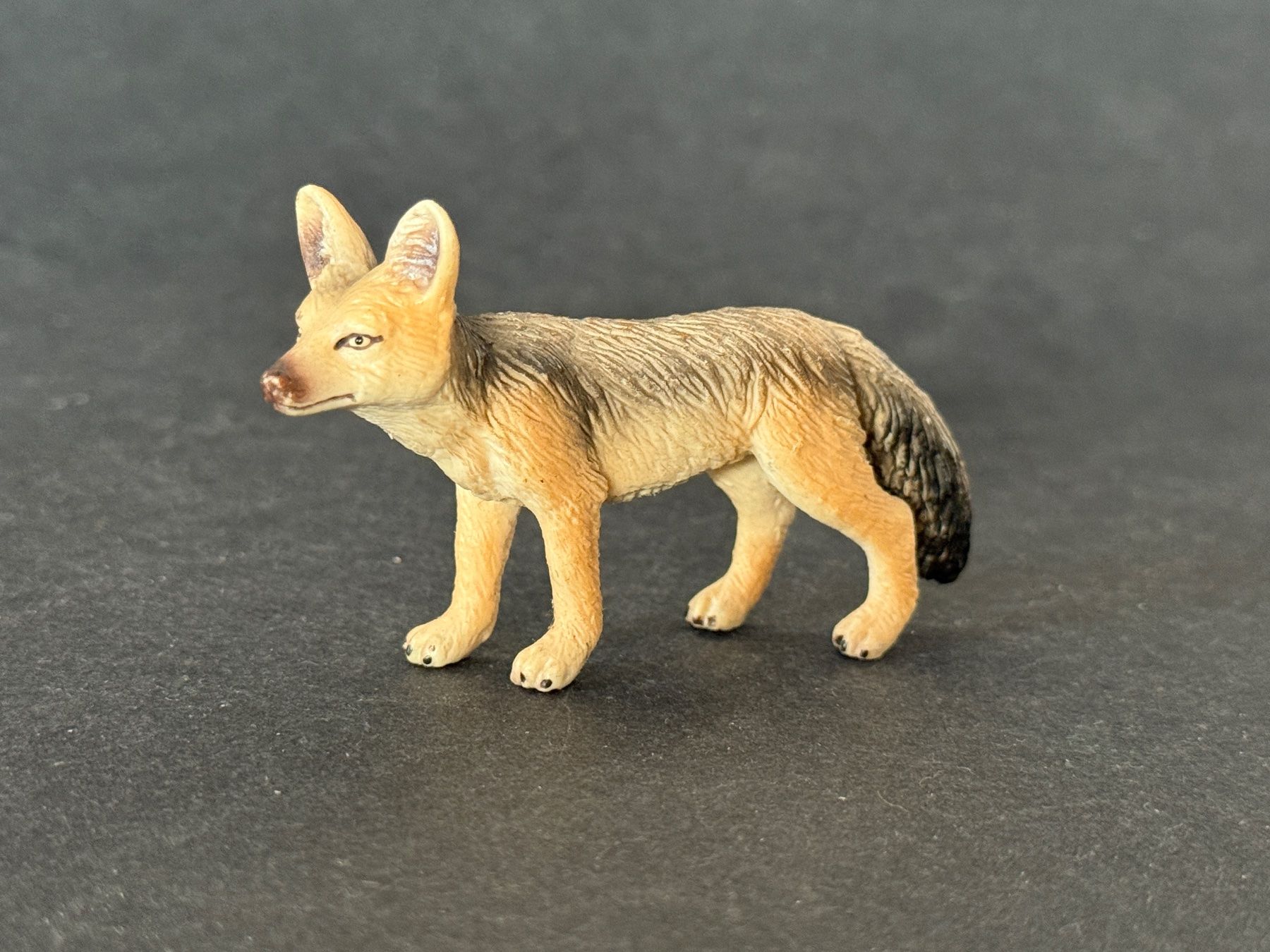 Schleich Statuette: Schleich - Schakal 14345 – Usato da Ennetbaden venduto da mapa05 3