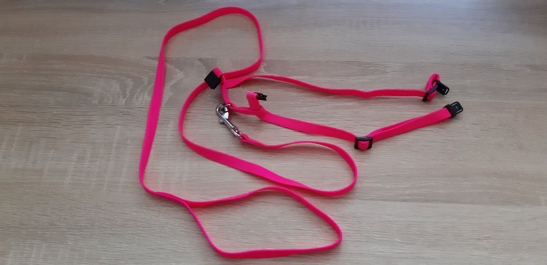 Leine & Halsband: Katzengeschirr mit Leine – Gebraucht aus Balterswil von Jolie6