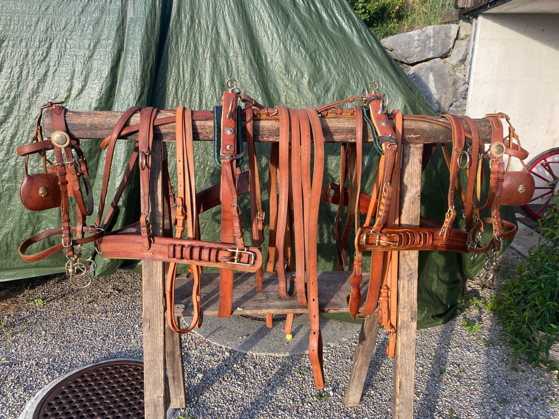 Carrozze: Pferdegeschirr Kutsche Pferde – Usato da Mogelsberg venduto da Gregor6132