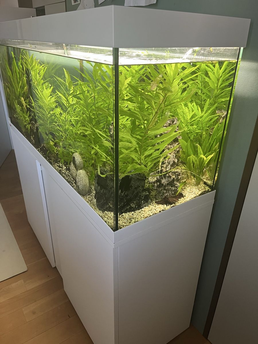 Eheim Aquarium: Aquarium 240 lt Starterset – Gebraucht aus Zürich von Toptob 1