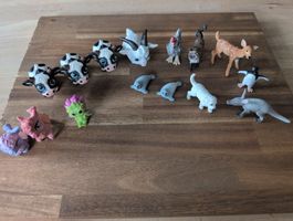15 Schleichtierli
