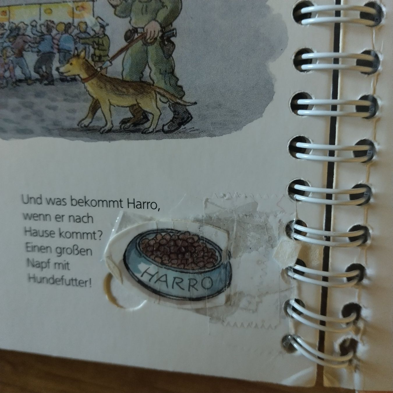Bücher: Wieso Weshalb Warum Junior Bucher Set – Gebraucht aus Oberdorf NW von niederj 9