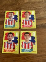 Panini Fussball Sticker Paraguay Top Zustand