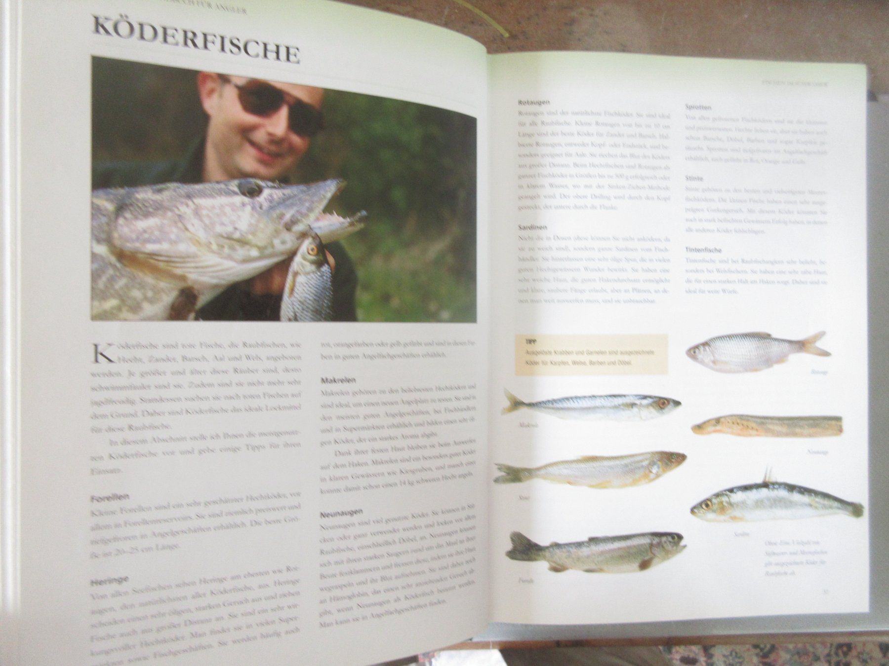 Libri: Das grosse Buch für Angler – Usato da Madiswil venduto da Mamaro 3
