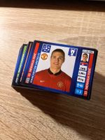 Panini Champions League 2013-14 Lot +160x Bilder ohne Doppel
