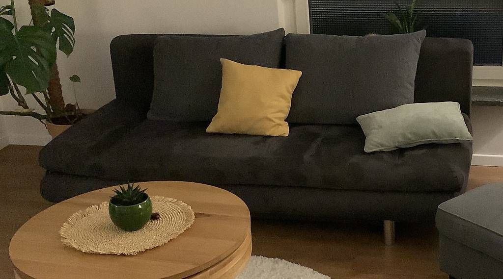 Divani: Bettsofa kaum gebraucht – Usato da Stein am Rhein venduto da Gomme100