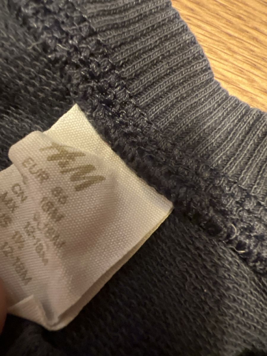 H&M Maglioni & Felpe: H&M Sweater Forest Explorer Igel Gr. 86 Blau – Usato da Luterbach venduto da vatab 2