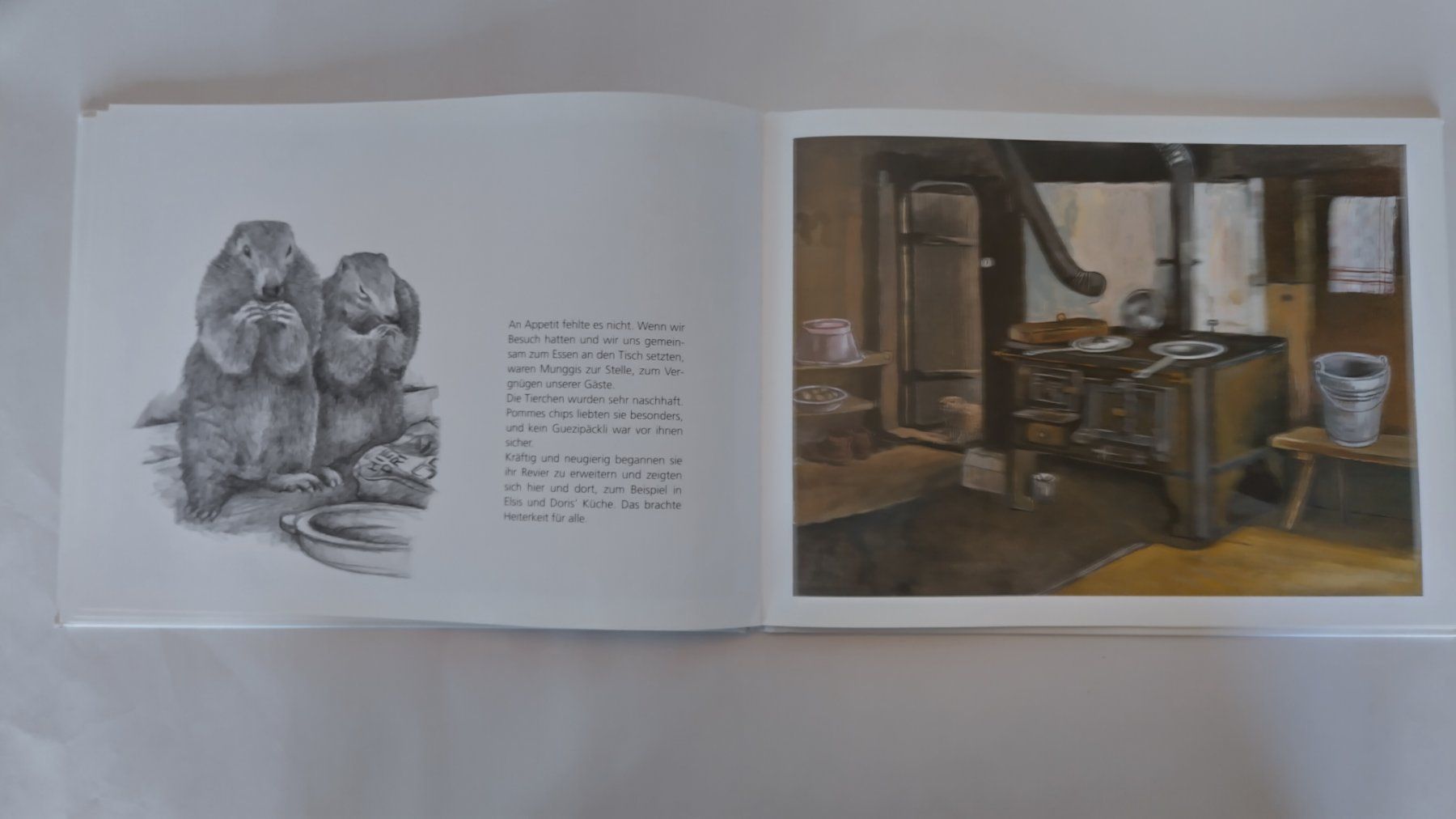 Libri: Peter Bergmann - Meine Murmeltier - Kinder / Bilderbuch – Usato da Bellach venduto da JingleJerry 8