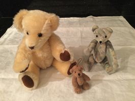 Teddybären