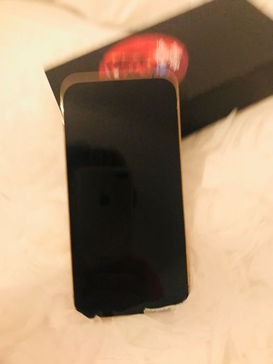 Iphon12 Pro Max 256 GB | Kaufen auf Ricardo