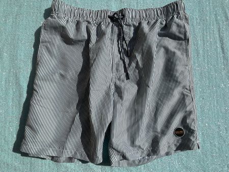 Dunkelgrün-weiss gestreifte SHIWI Badeshorts Gr. XL
