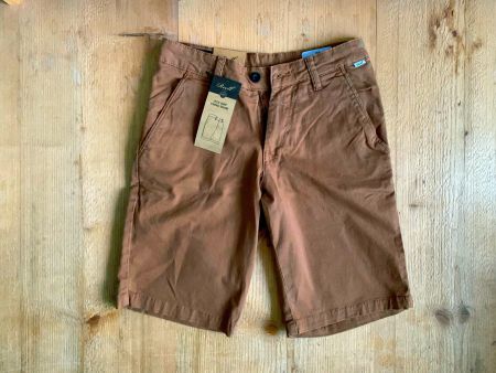 Neue Chino Shorts von Reell, ockerbraun, W28