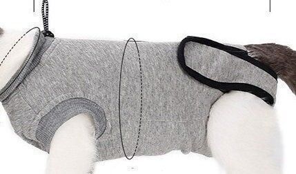 Top: Hunde Bodys Grau Gr. XXS – Nuovo e nell'imballaggio originale da Matt venduto da Westigruppe 3