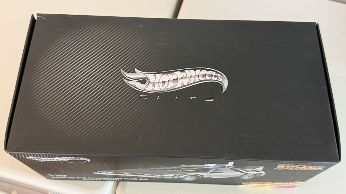 Hot Wheels Modellini d'auto: Hot Wheels Elite Delorean – Usato da Basel venduto da Zomeg 1