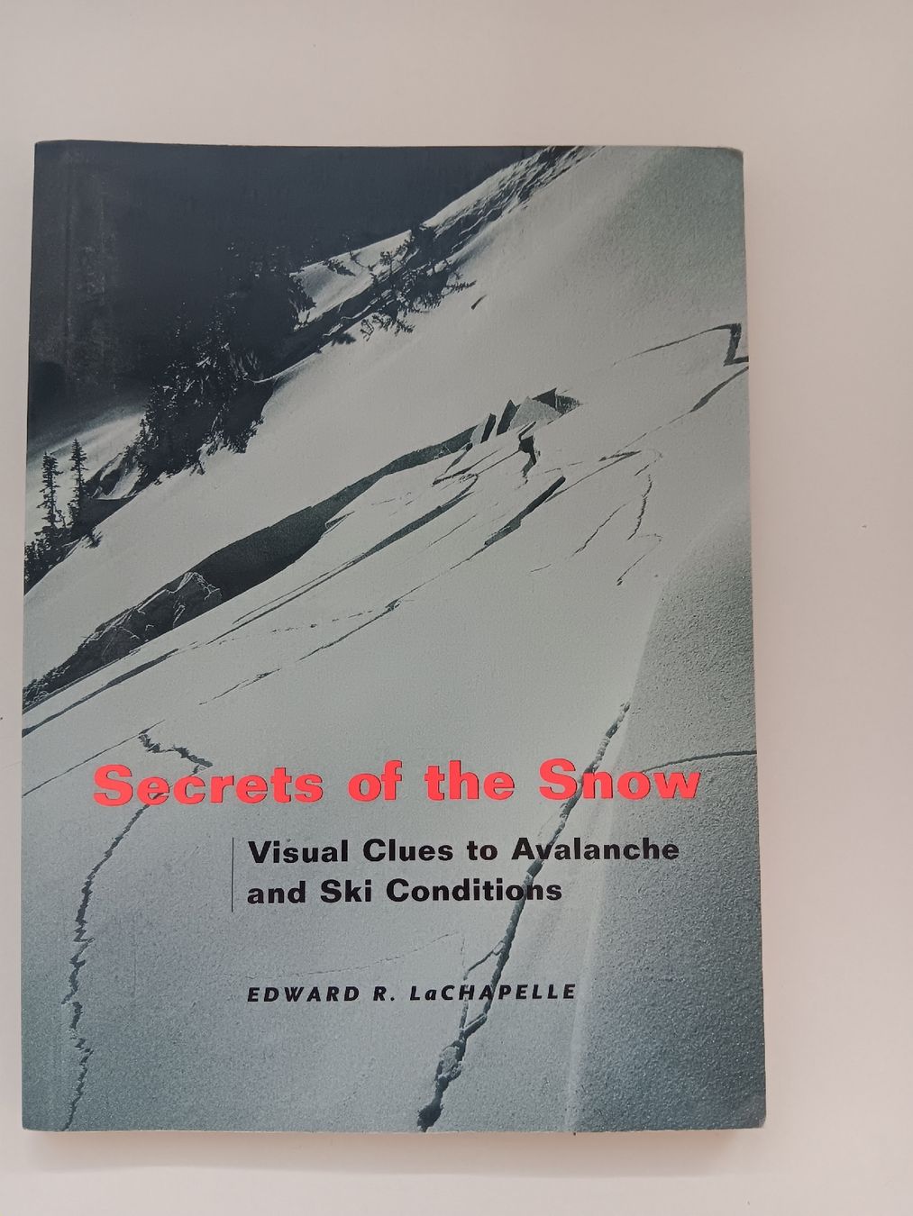 Libri: 4 Avalanche Book Set. Skiing Mountaineering Safety – Usato da Versoix venduto da lpid69 3