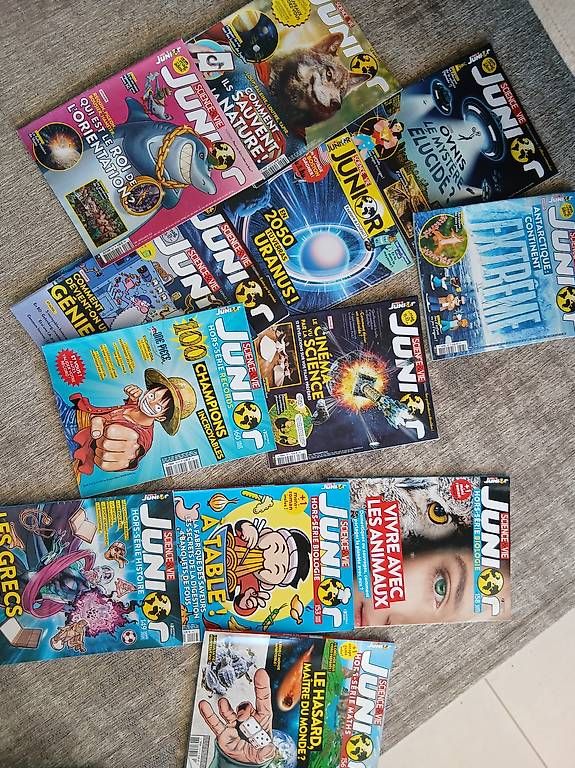 Riviste & Magazine: Sciences et vie Junior  – Usato da Préverenges venduto da mel_k6bd