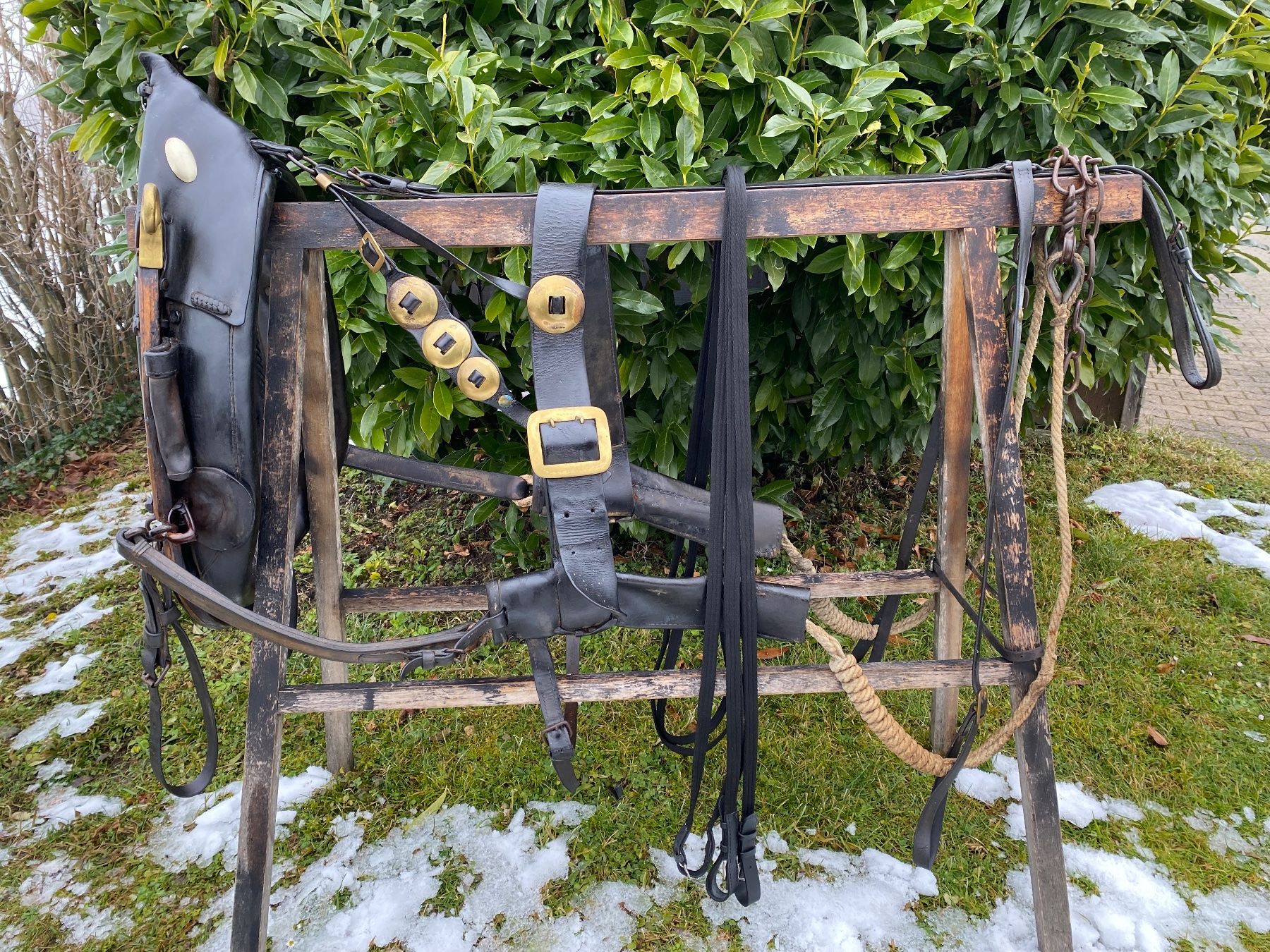 Campanacci mucche: schönes Spitzkummetgeschirr – Usato da Feldbach venduto da Fea1