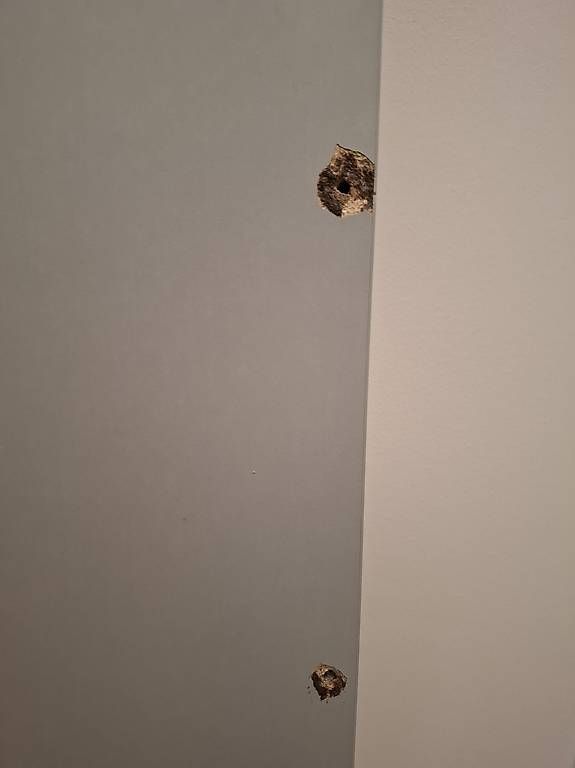Ikea Türen: IKEA Pax Spiegeltür – Gebraucht aus Männedorf von Einhornmama 1