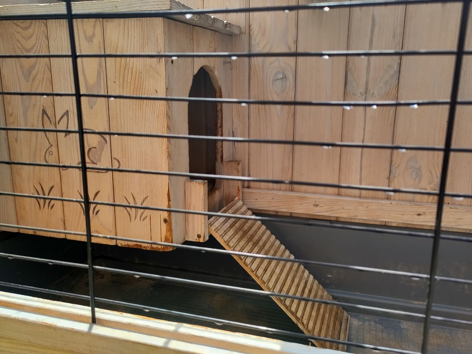 Cages, transport & sécurité: Hasenstall – D'occasion à Naters par punki01 1