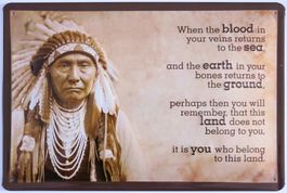 Sitting Bull Schild 20x30cm