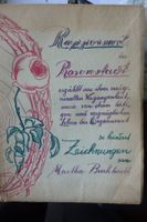 GESCHICHTE. RAPPERSWIL ROSENSTADT 100 ZEICHN. MART.BURKHARDT