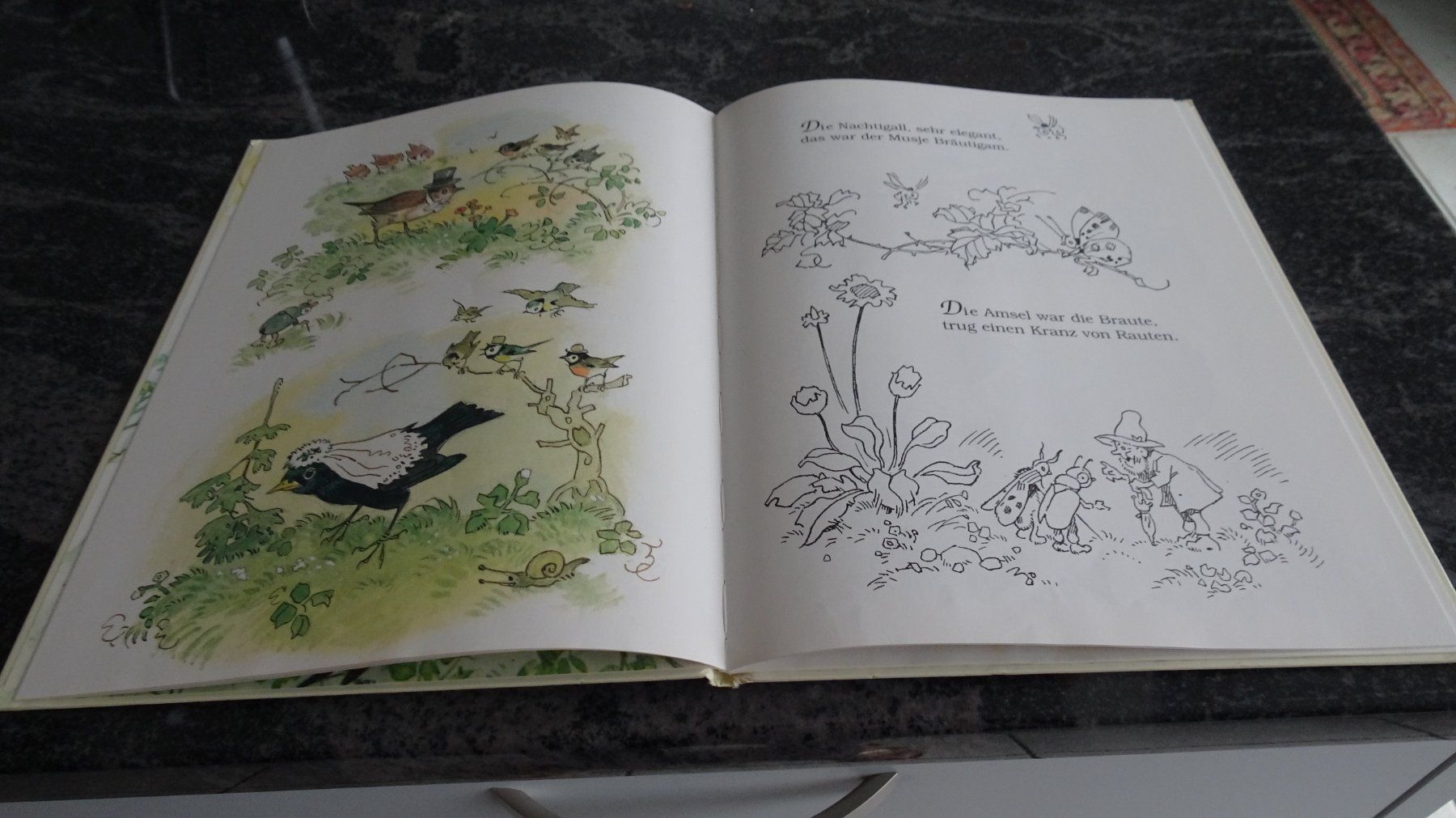 Bücher: Die Vogelhochzeit Eine Geschichte mit Bildern von F.Baumgart – Gebraucht aus Zürich von Roulet 5