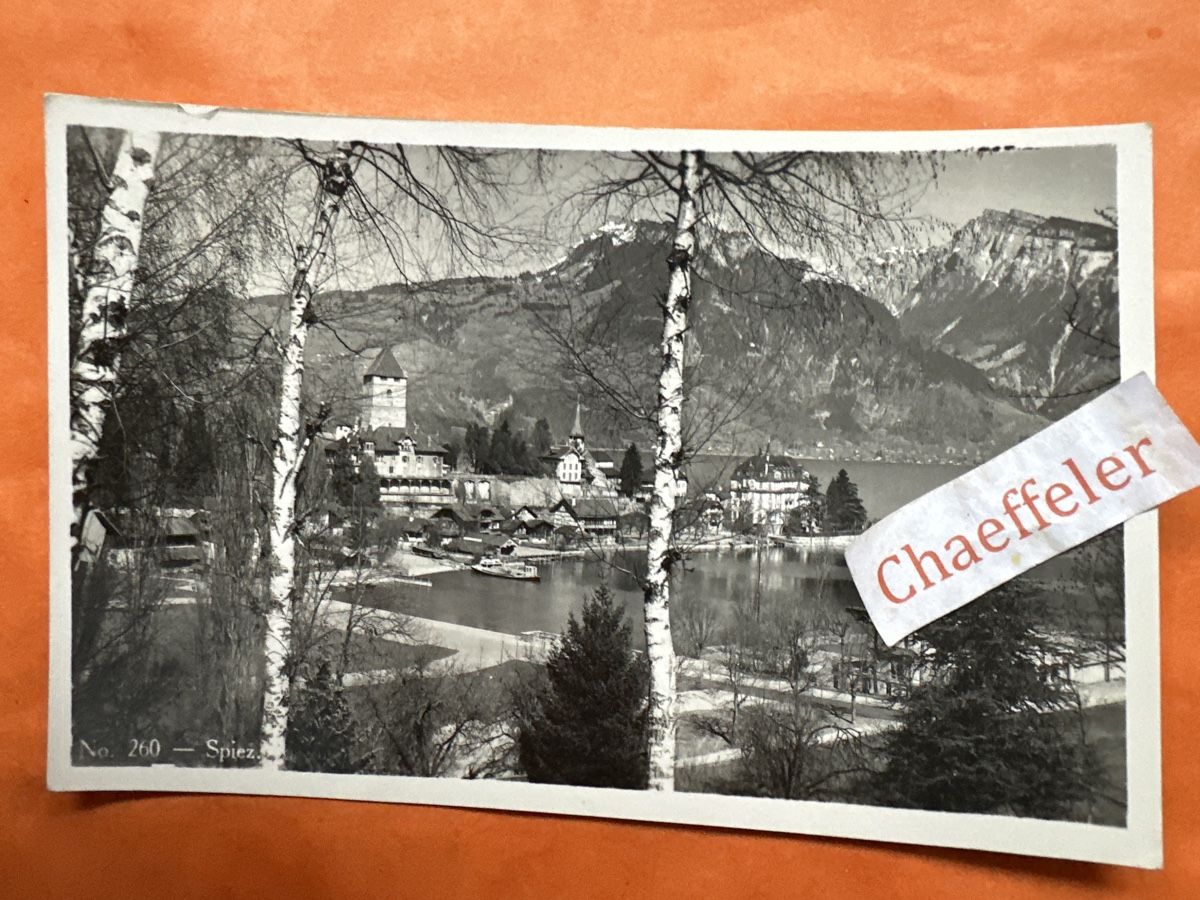Cartoline postali: 1953  260 Spiez mit Schloss – Usato da Zürich venduto da Chaeffeler