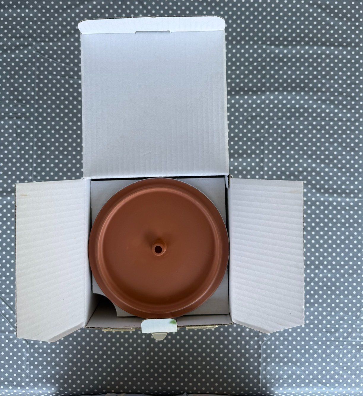 Küchengeräte: Keim Sprosser Terrakotta Germoir neu – Neu und originalverpackt aus Zürich von Dmbz 4