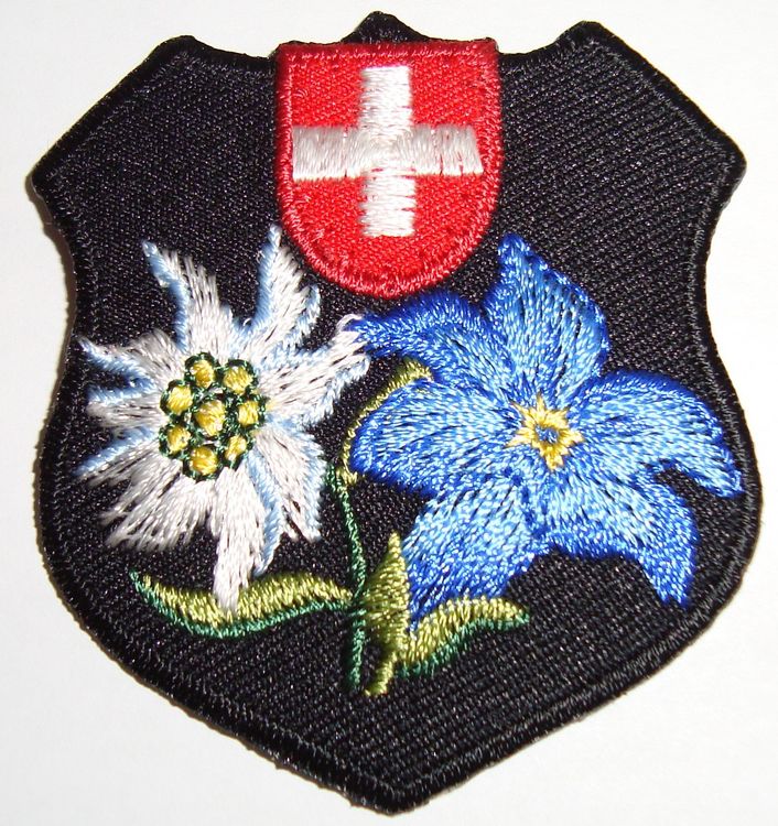Patch écusson Ski Dauphiné Edelweiss SK585 – Pin's Sport D'hiver Vintage
