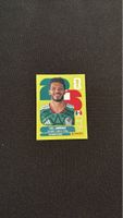 Panini - WM 2026 - Raúl Jiménez - MEX 17