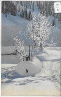 Davos - Winterlandschaft