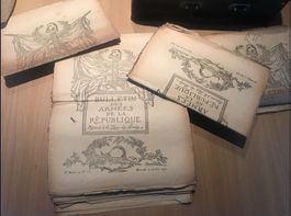 Bulletins des Armées, 1916-1917