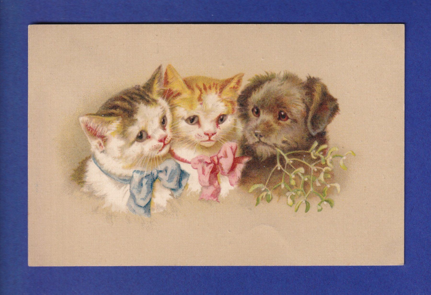 Ansichtskarten: CHAT - 2 chats et un chien – Gebraucht aus Pully von nicecards-shop