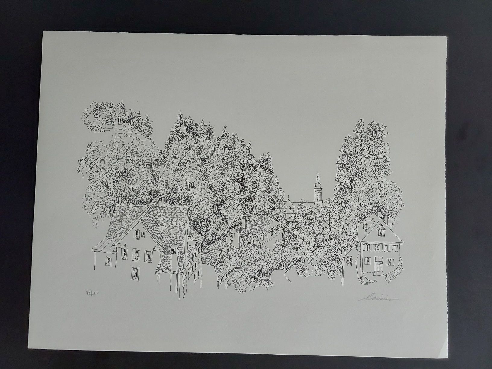 Grafica & Litografie: St.Gallen. Litho. 48/110 Godi  Leiser.Handsigniert. – Usato da Steinach venduto da Chilli1957