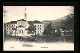 Sarnen, Gymnasium mit weidenden Kühen