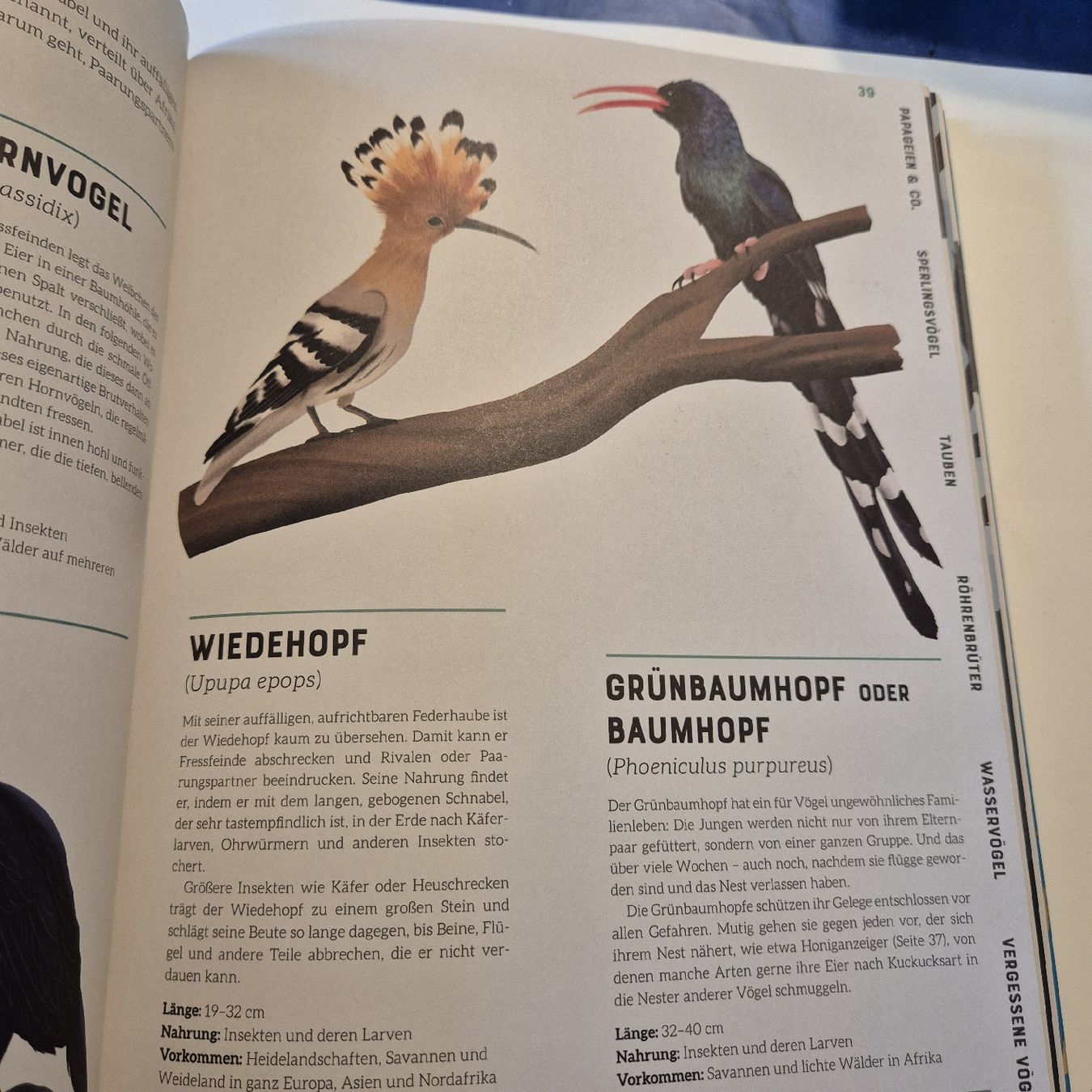 Libri: das grosse Lexikon der Vögel – Nuovo (secondo la descrizione) da Weinfelden venduto da piadesha 2
