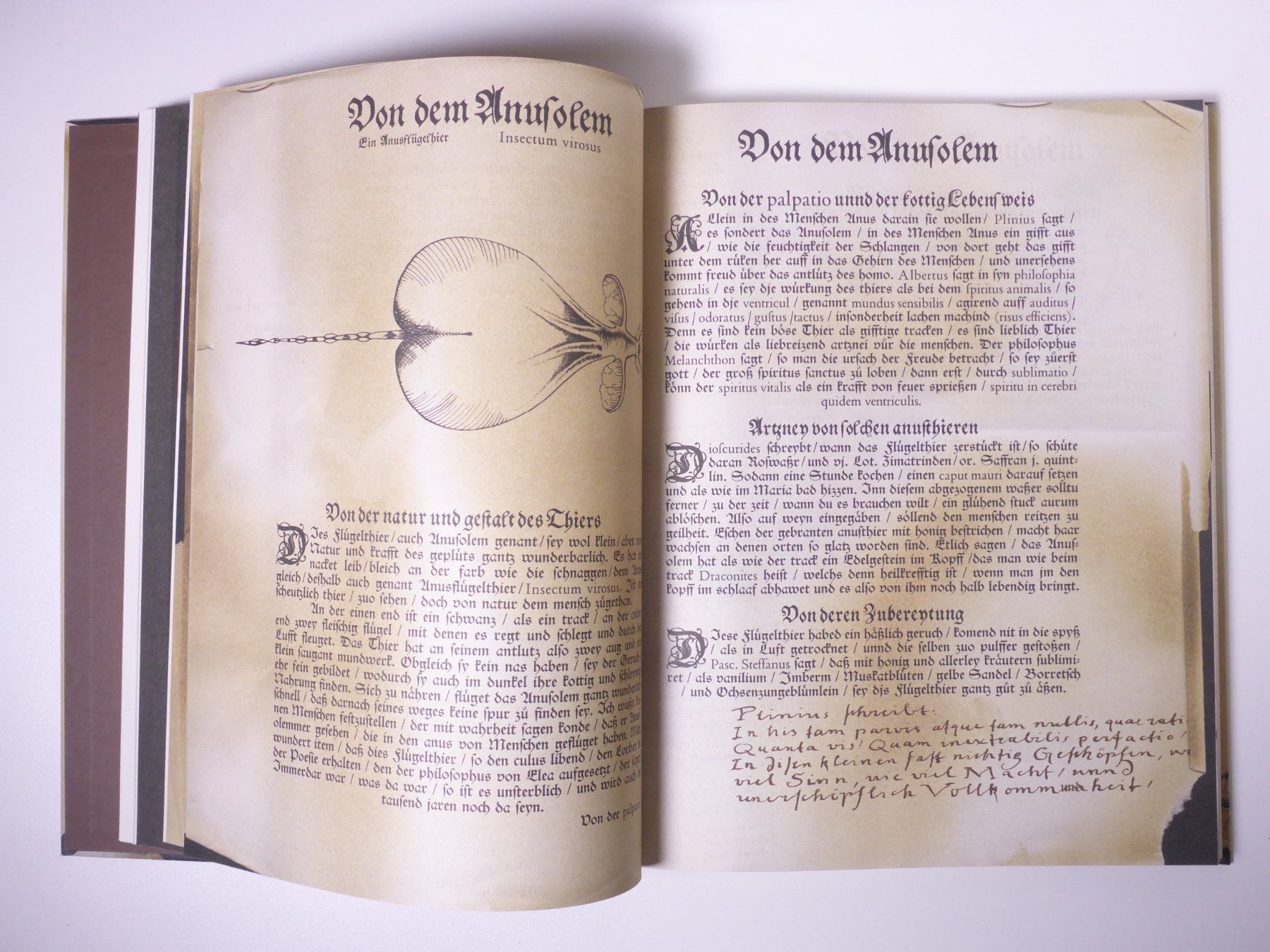 Bücher: Conrad Gessner 2 Titel – Gebraucht aus Erschwil von taglang 7