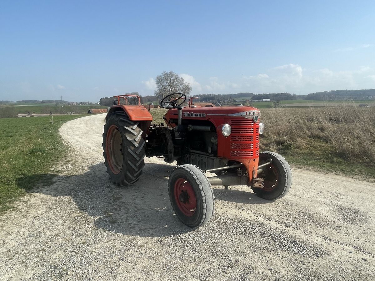 Hürlimann Trattori: Hürlimann Traktor D110 – Usato da St.Antoni venduto da MixMaxx 1