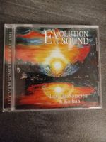 Evolution of Sound von Lex van Someren und Kailash