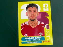 FIFA WORLD CUP 2026 - QAT 17