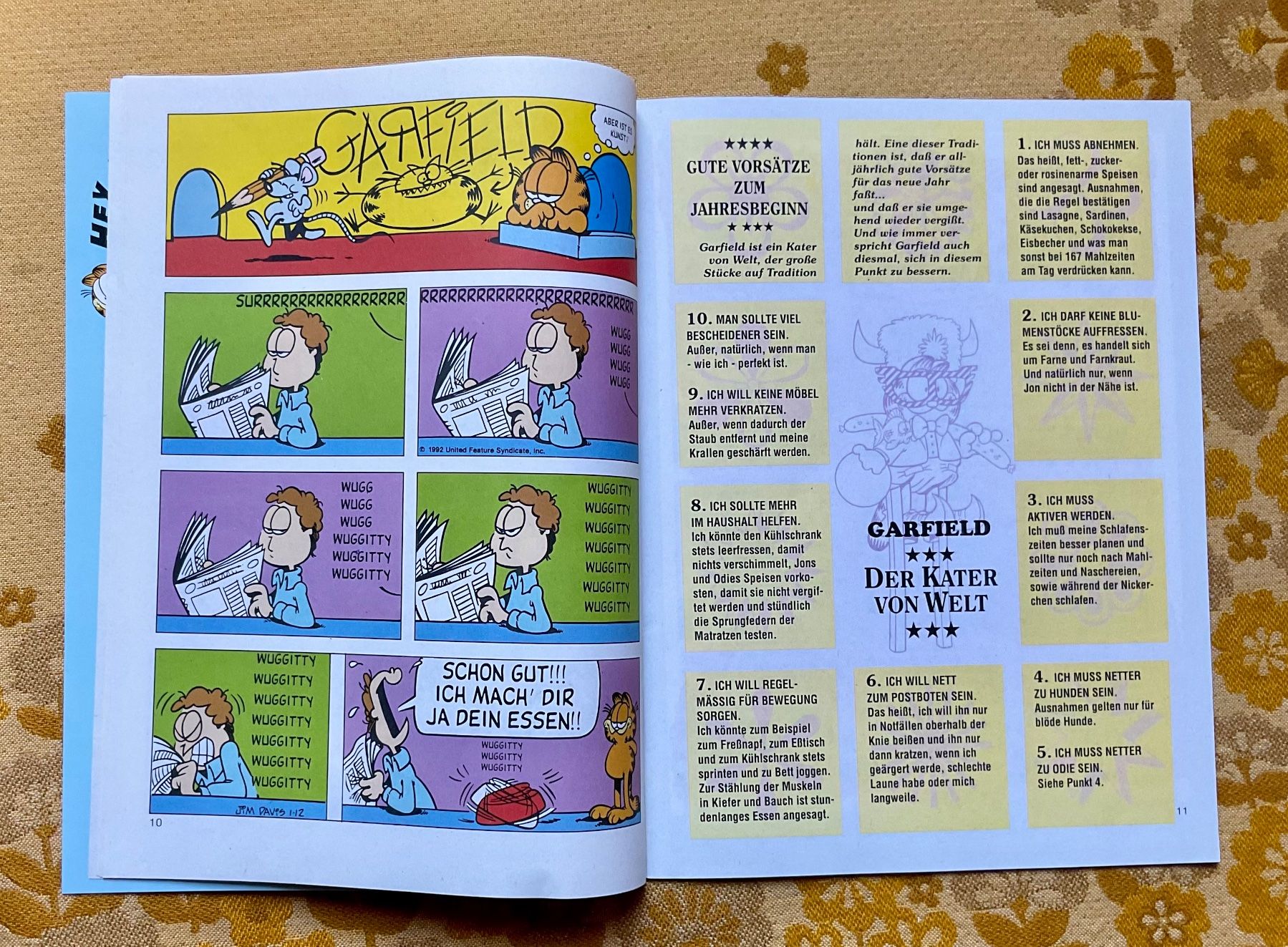 Fumetti: Garfield Heft Nr 1 von 1993 – Usato da Endingen venduto da nathan05 3
