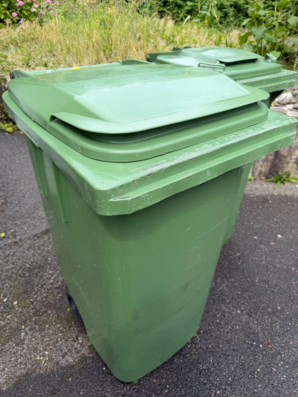 Banconi: 2 Grüngut-Container, 140lt und 240lt – Usato da Meilen venduto da Danimueller99 4