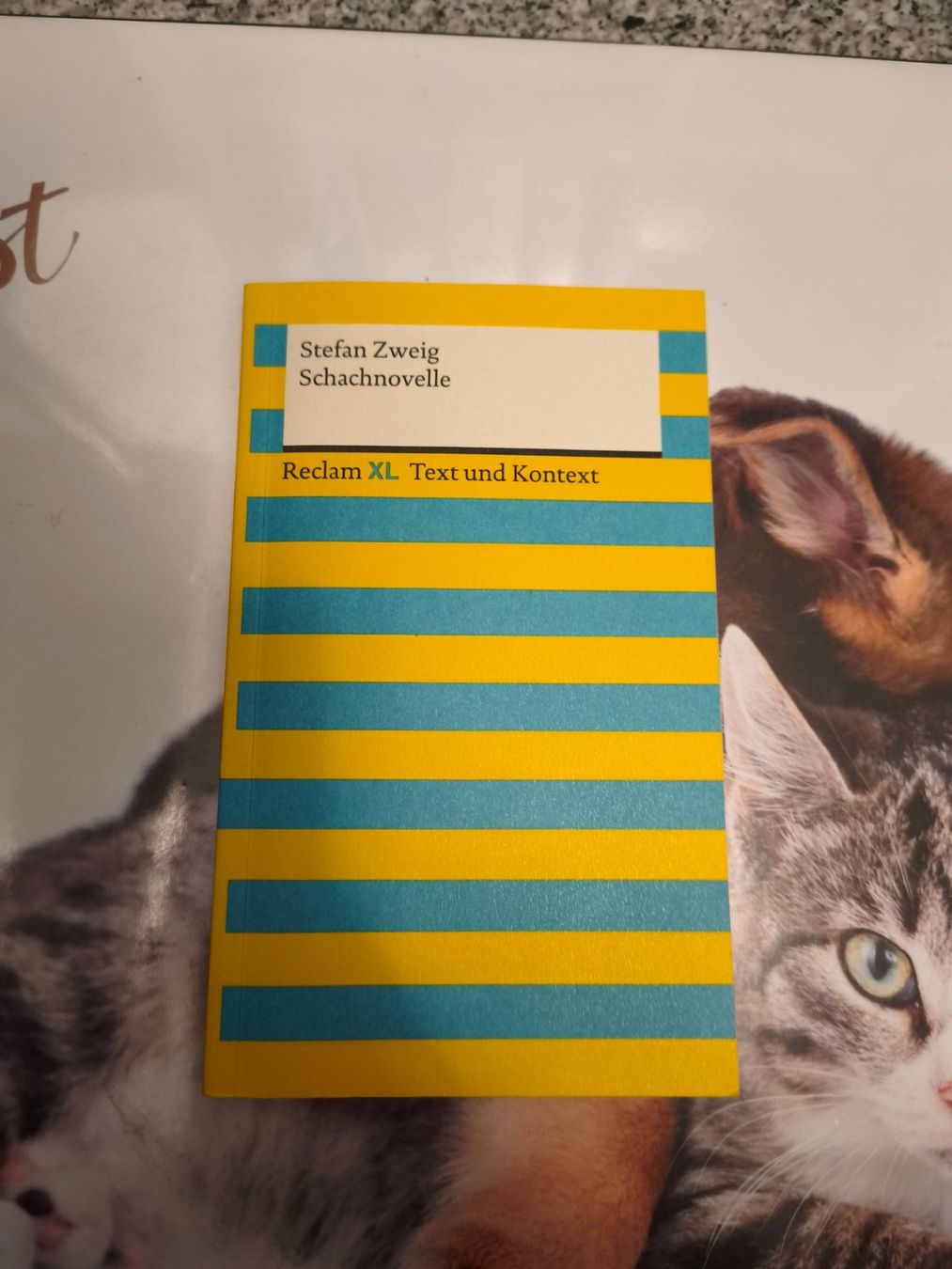 Libri: Schachnovelle von Stefan Zweig – Nuovo (secondo la descrizione) da Starrkirch-Wil venduto da wae_xd2j