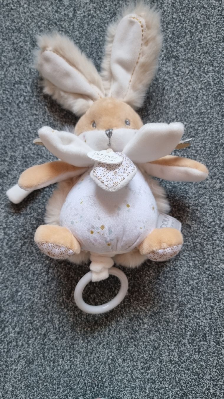 Giocattoli: Boite à musique doudou et compagnie – Usato da Les Breuleux venduto da Mily1991