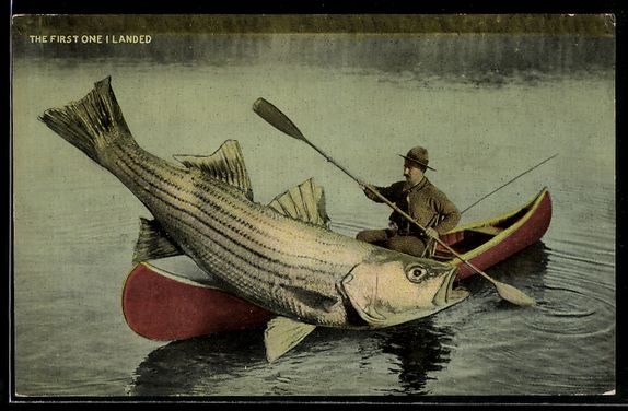 Cartes postales: The first one i landed, Angler mit einem – D'occasion à Berlin par bartko-reher