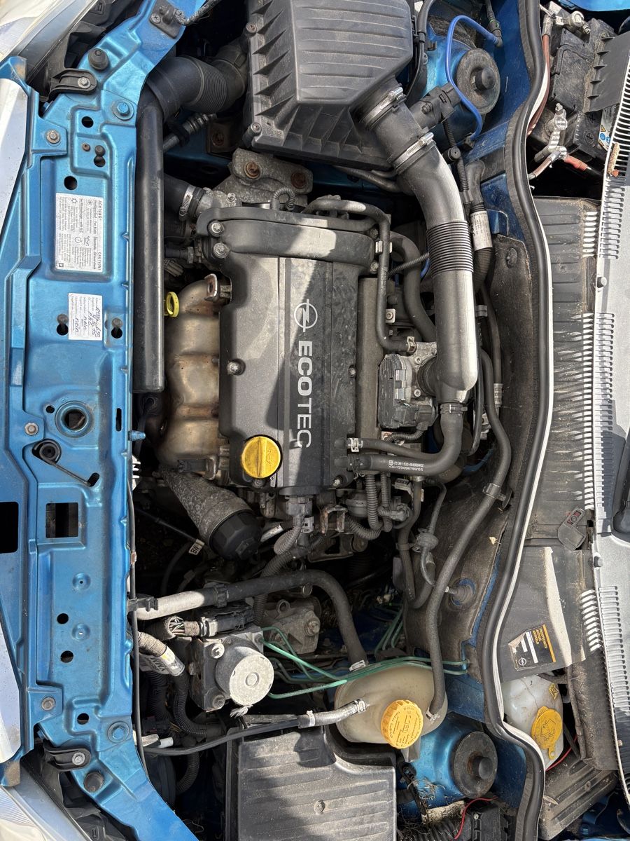 Opel Automobili: Opel Tigra TwinTop blau – Difettoso da lostorf venduto da Hramaj 7