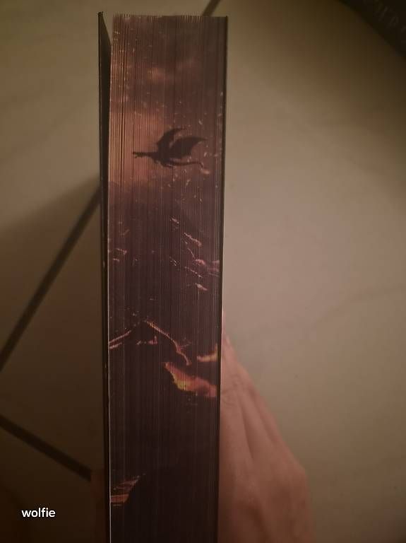 Libri: Band 3 ember king  – Usato da Suhr venduto da ste_w8yp 1